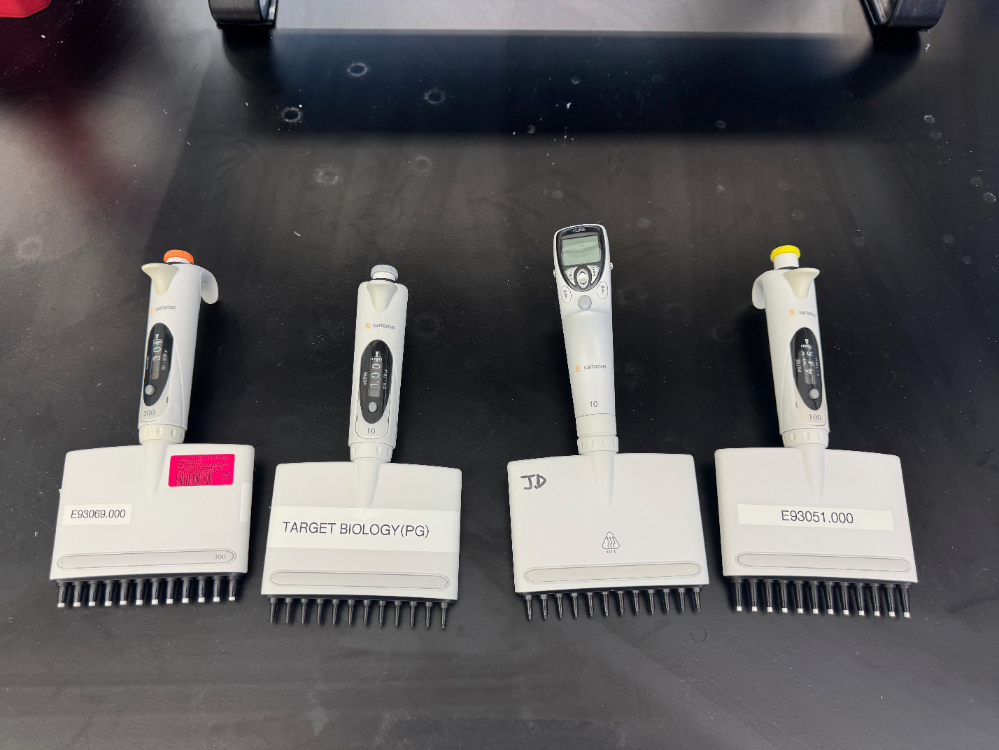 Image of Sartorius Multichannel Pipettes - Quantity 4